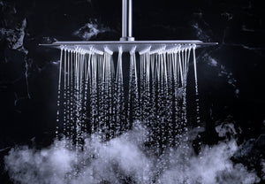 Choosing the Best Shower Head for You
