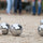 Deluxe Boules Bocce 8 Alloy Ball Set