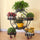 4 Layer 6 Pots Flower Holder Plant Stand Shelf 4-Wheel Free Moving Rack