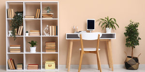 Home and Furniture > Living Room Furniture > Bookshelves