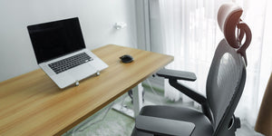 Home and Furniture &gt; Office Furniture &gt; Ergonomic Office Chairs