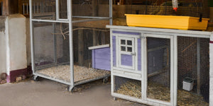 Leisure and Lifestyle &gt; Pet Enclosures