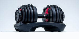 Sports &amp; Fitness &gt; Gym Weights &gt; Adjustable Dumbbells