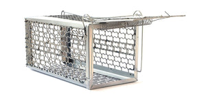 Leisure and Lifestyle &gt; Pest Control &gt; Mouse Traps