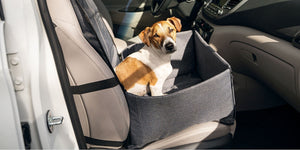 Leisure and Lifestyle &gt; Pet Supplies &gt; Dog Car Seats