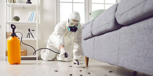 Leisure and Lifestyle &gt; Pest Control
