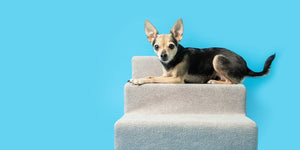 Leisure and Lifestyle > Pet Supplies > Dog Ramps, Stairs and Steps