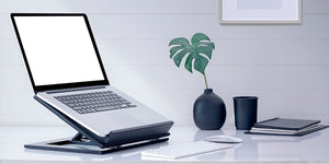 Home and Furniture &gt; Office Furniture &gt; Laptop Stands and Tables