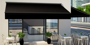 Outdoor and Garden &gt; Awning