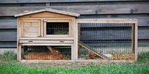 Leisure and Lifestyle > Pet Enclosures > Rabbit Hutches and Enclosures