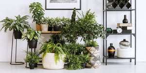 Home and Furniture &gt; Home Furniture &gt; Plant Stands and Racks
