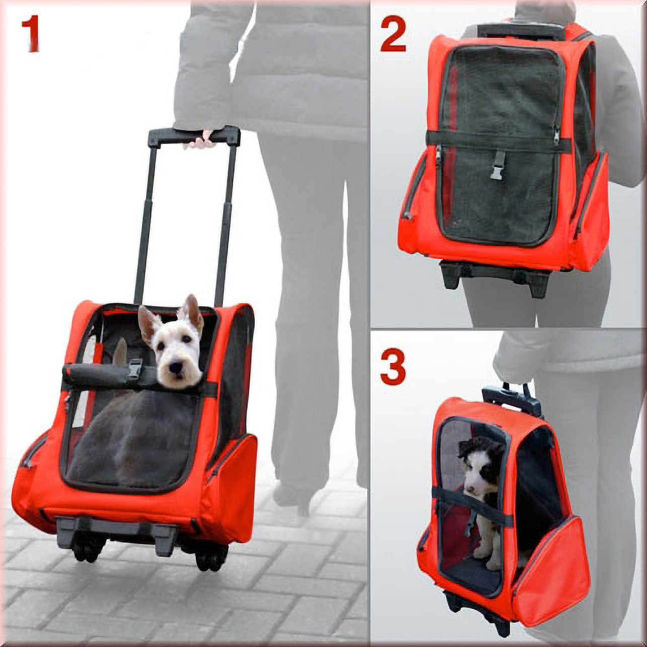 Dog trolley cheap