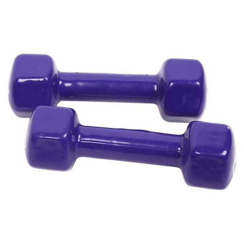 2kg Dumbbells Pair PVC Hand Weights PVC Coated