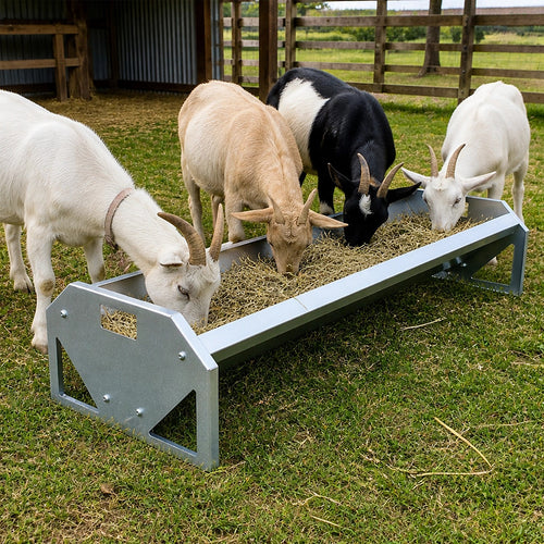Heavy Duty Galvanised Livestock Feeding Trough 22 Gallon Sheep Goat Feeder
