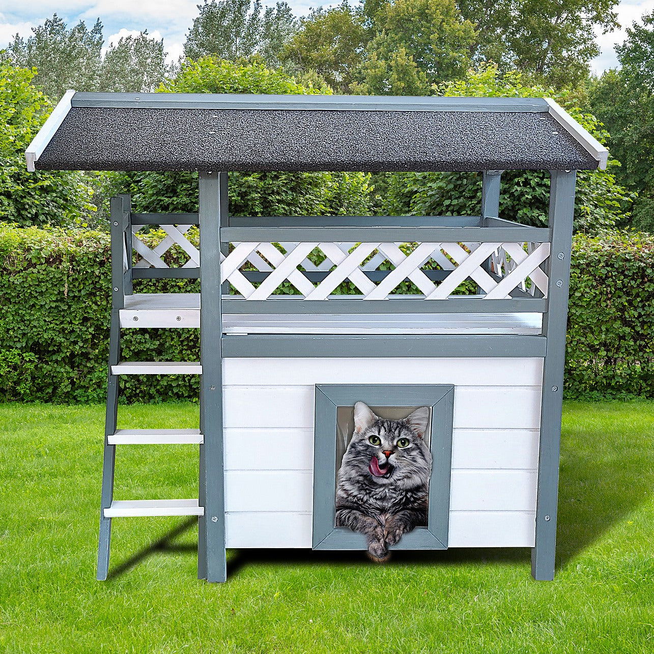 Best outdoor deals cat house