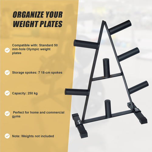 Olympic Weight Plate Storage Rack 250kg Capacity