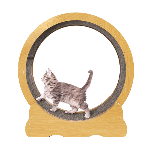 Cat Running Wheel w/ Carpet Runway Cat Exercise Wheel for Fitness Cat Treadmill 