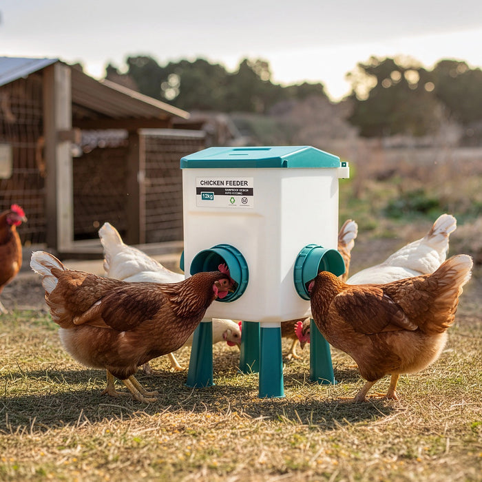 Chicken Feeder Water Food Treadle Poultry Feeding 12KG Large Capacity 11L