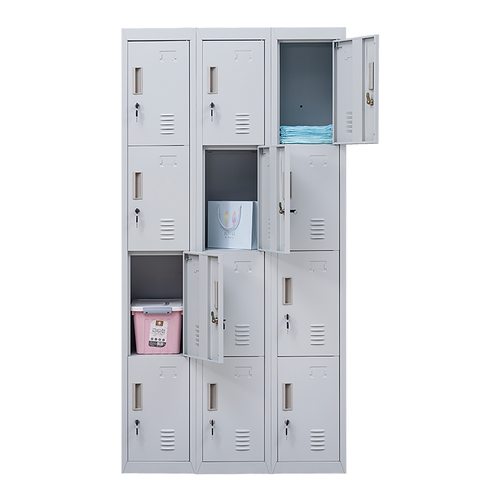 12-Door Locker – Grey with Standard Lock with 2 Keys | Secure Storage for Office, Gym or School Use