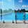 Glass Black Spigot 304 Stainless Steel Balustrade Pool Fence