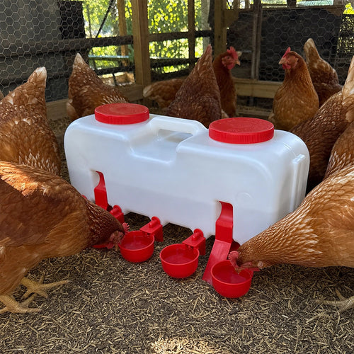 10L Chicken Water Feeder Automatic Chook Drinker Gravity System