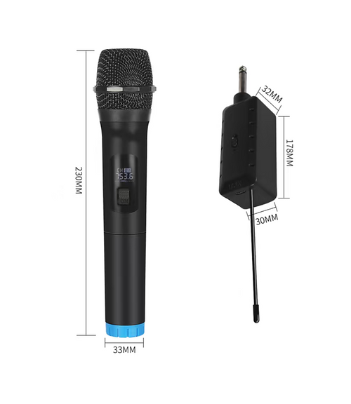 2 x Wireless Microphone Handheld Cordless Professional Mic Karaoke Receiver