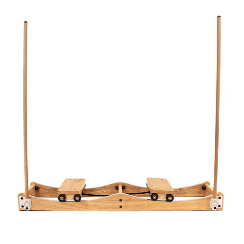 Ski Machine W/ Handrails