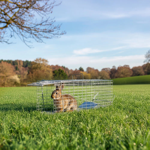 Trap Humane Possum Cage Live Animal Safe Catch Rabbit Cat Hare Fox Bird