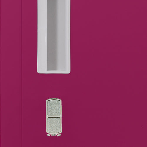 12-Door Locker – Grey with Pink Door with Padlock-operated | Secure Storage for Office, Gym or School Use