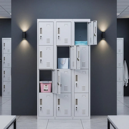 12-Door Locker – Grey with Standard Lock with 2 Keys | Secure Storage for Office, Gym or School Use