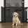 3m Retractable Baby Safety Mesh Fence – Stair Gate Barrier for Kids and Pets
