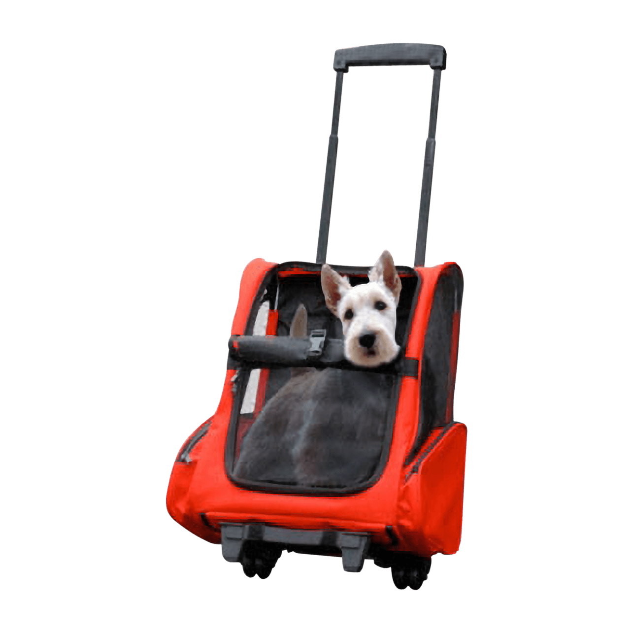 Dog sales transport carrier