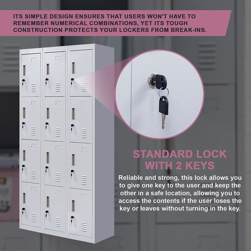 12-Door Locker – Grey with Standard Lock with 2 Keys | Secure Storage for Office, Gym or School Use