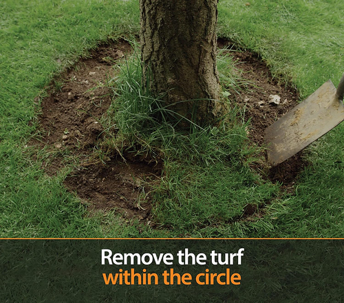 600mm Steel Garden Tree Ring with Spikes – Durable Root Barrier & Edging Guard