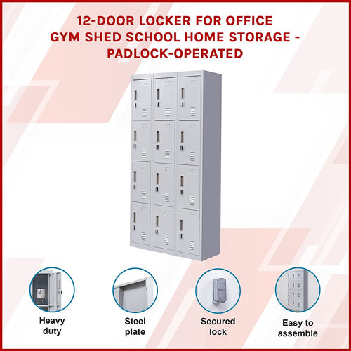 12-Door Locker – Grey with Padlock-operated | Secure Storage for Office, Gym or School Use