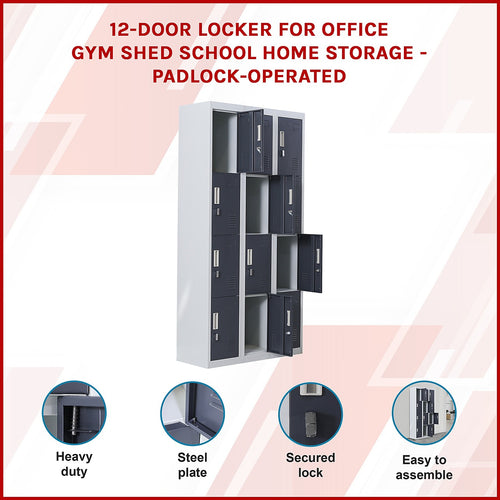 12-Door Locker – Grey with Charcoal Door with Padlock-operated | Secure Storage for Office, Gym or School Use