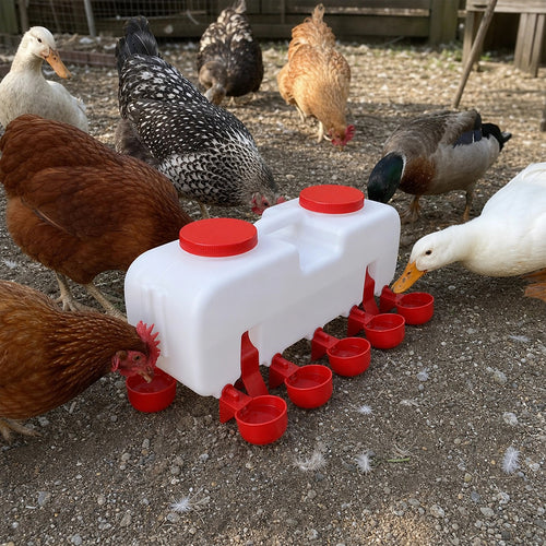 10L Chicken Water Feeder Automatic Chook Drinker Gravity System