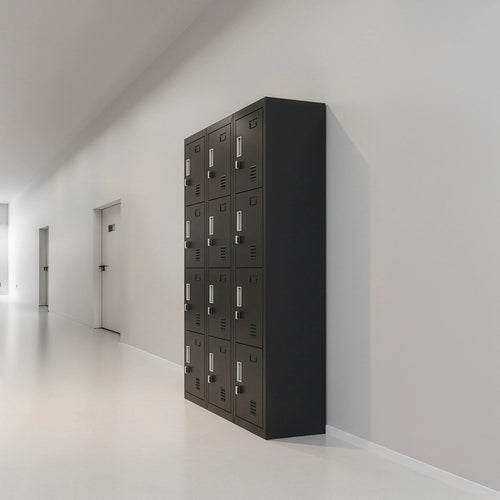 12-Door Locker – Black with Padlock-operated | Secure Storage for Office, Gym or School Use