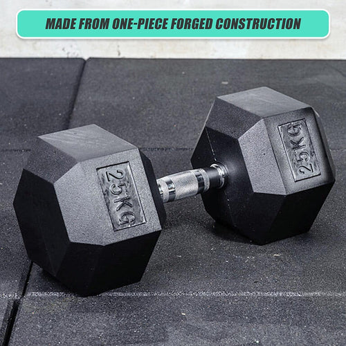 25kg Commercial Rubber Hex Dumbbell Gym Weight