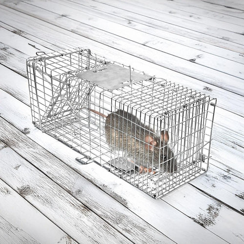 Trap Humane Possum Cage Live Animal Safe Catch Rabbit Cat Hare Fox Bird