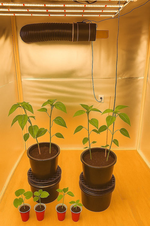 Flexible Aluminium Ducting 20.3cm x 7.6m – 4-Layer Vent Hose for HVAC & Dryers