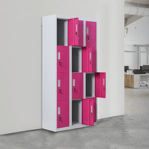 Grey with Pink Door 12-Door Locker for Office Gym Shed School Home Storage - Standard Lock with 2 Keys