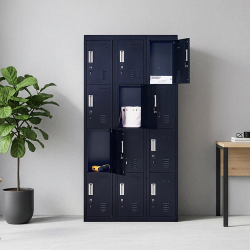 12-Door Locker – Black with Standard Lock with 2 Keys | Secure Storage for Office, Gym or School Use