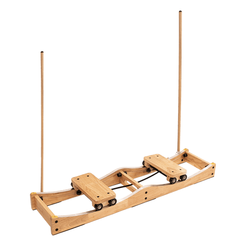 Ski Machine W/ Handrails