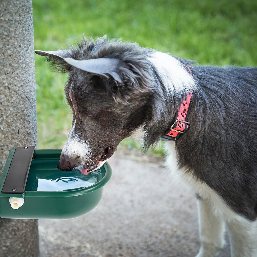 4L Water Trough Bowl with Automatic Float Valve 