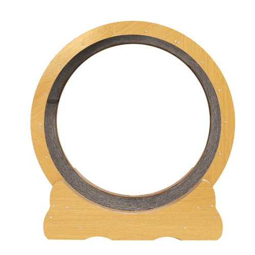 Cat Running Wheel w/ Carpet Runway Cat Exercise Wheel for Fitness Cat Treadmill 