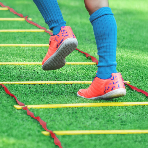 9m Agility Speed Training Ladder