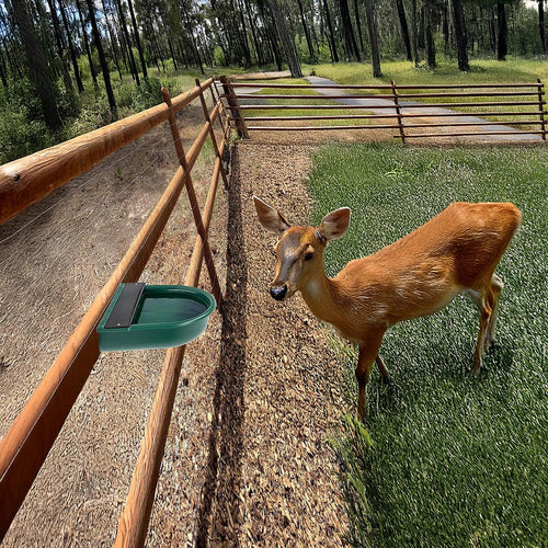 4L Water Trough Bowl with Automatic Float Valve 