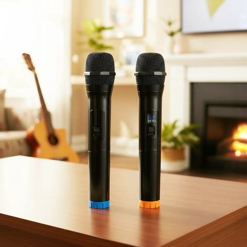 2 x Wireless Microphone Handheld Cordless Professional Mic Karaoke Receiver