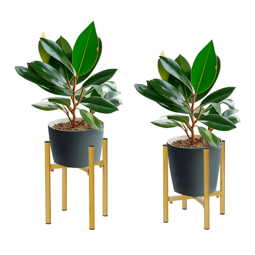 Metal Plant Stand Adjustable Indoor